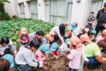 東海学園大学 保育園児たちと芋掘り体験。教室を飛び出し、子どもたちとのかかわりを通した学びを重視。