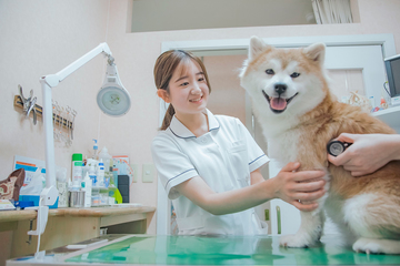 愛玩動物看護師として働く中川　美那さん